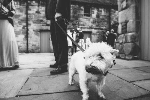 Ashes Barns Endon wedding photography-45