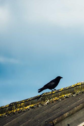 barn-at-brynich-wedidng-photography-156