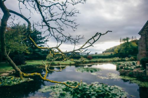 brinsop court wedding photography-190