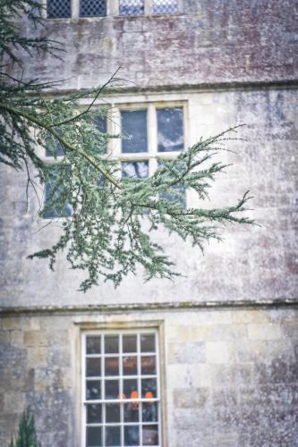 Elmore Court wedding photography-147