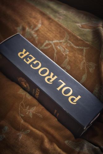 Elmore Court wedding photography-28