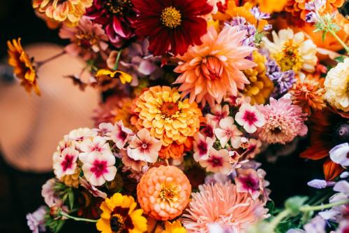 Fforest wedding photography_-9