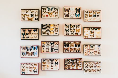 foxhill-manor-wedding-6