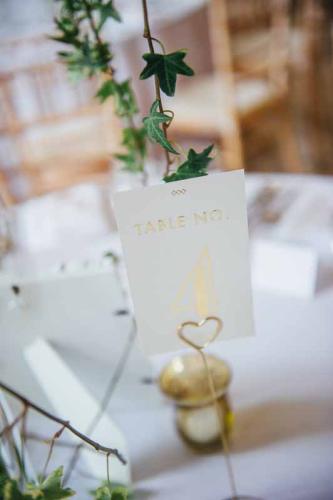 Goldney Halle wedding photography-26