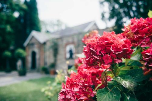 Pencoed house wedding photography-146