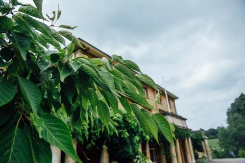 penpont wedding photography-150