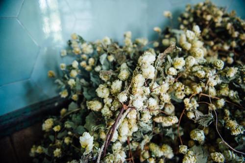 Plas Dinam Wedding Photography-166