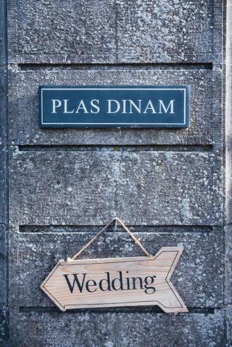 Plas Dinam Wedding Photography-193