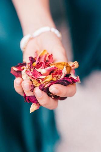 plas-dinam-wedding-photography-20-2