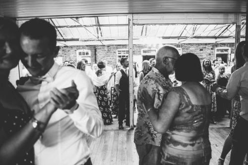 Plas Dinam Wedding Photography-287