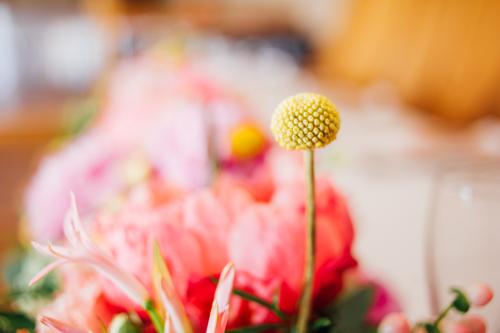porthmawr country house wedding photography-40