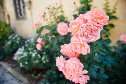 tuscany-wedding-photography-villa-di-ulignano-_-5