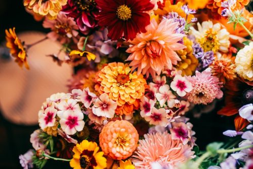 fforest-wedding-photography-2