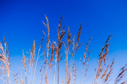 fforest-wedding-photography-61