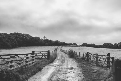 fforest-wedding-photography