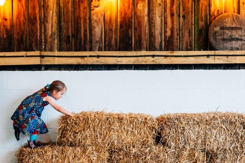 sugarloaf-barn-wedding-42