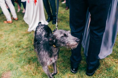 tipi-wedding-cardiff-22